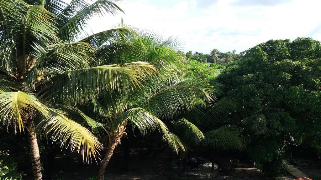 Pousada Noah De Coco Otel Paracuru Dış mekan fotoğraf